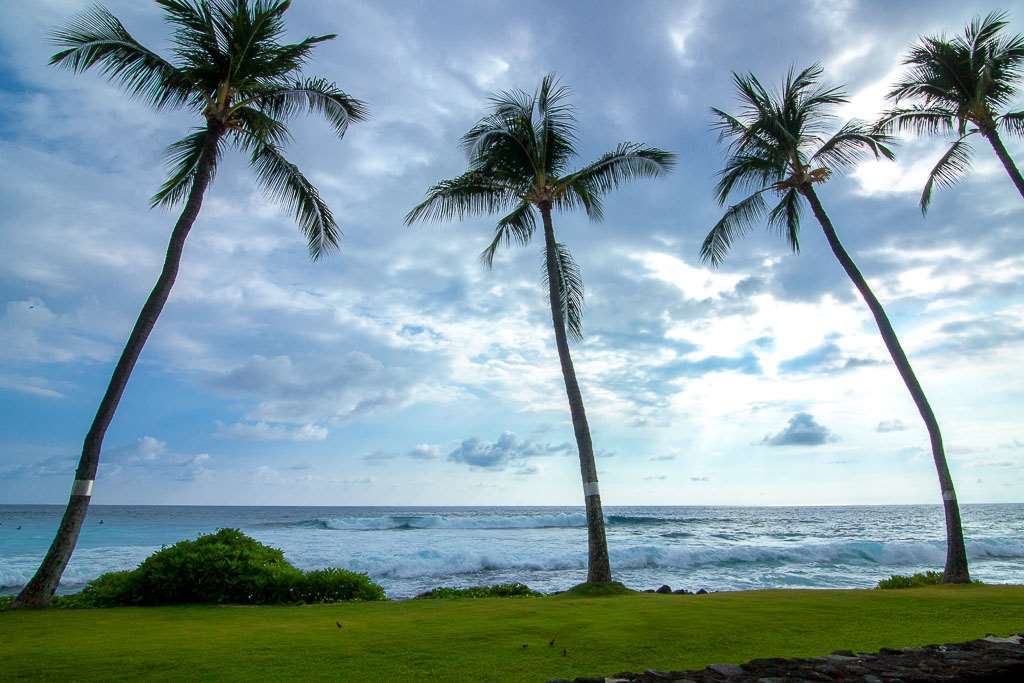 Kona Reef Hotell Kailua-Kona Rom bilde